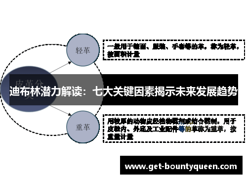 迪布林潜力解读：七大关键因素揭示未来发展趋势